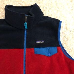 Patagonia Color Block Synchilla Fleece Vest